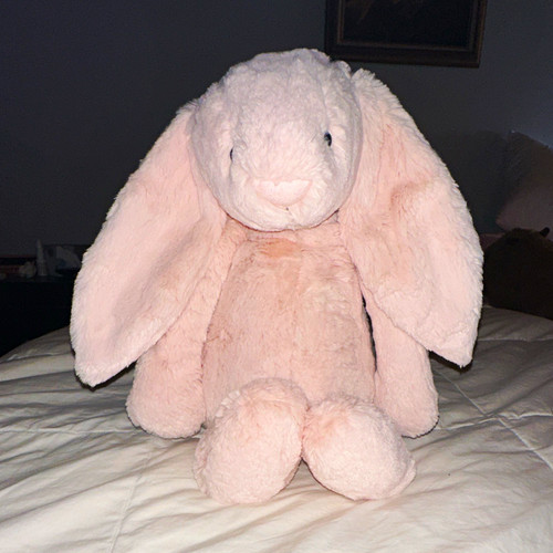 Retired rare jellycat bashful - retired,