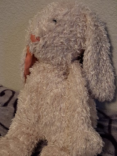 Jellycat bashful junglie - jellycat,