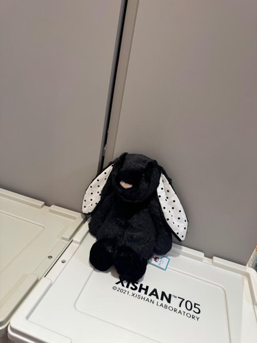 Jellycat amuseable bashful - jellycat,